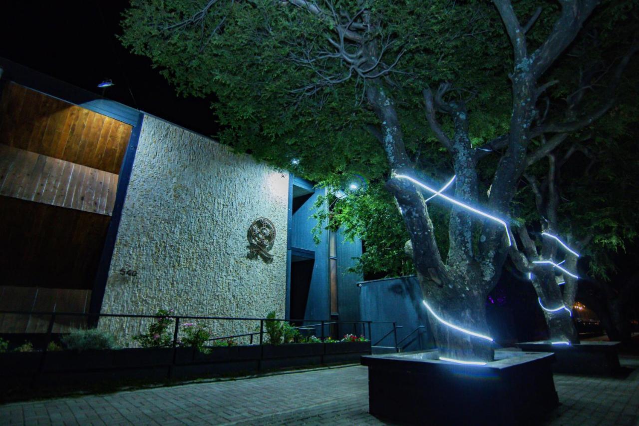 Hotel Cumbres Del Sur Pucón Kültér fotó