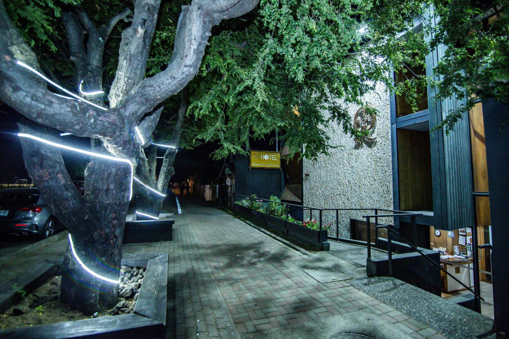 Hotel Cumbres Del Sur Pucón Kültér fotó